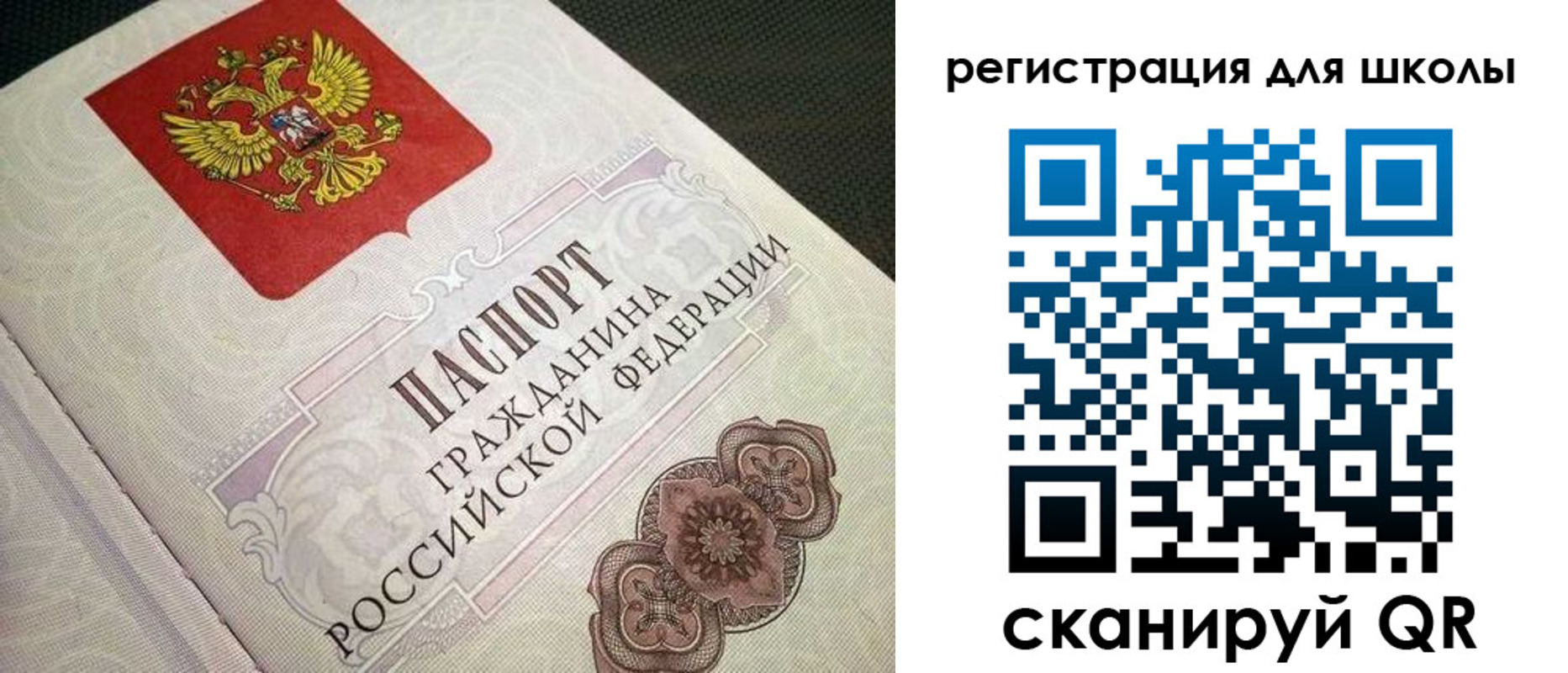 прописка паспорт в Димитровграде